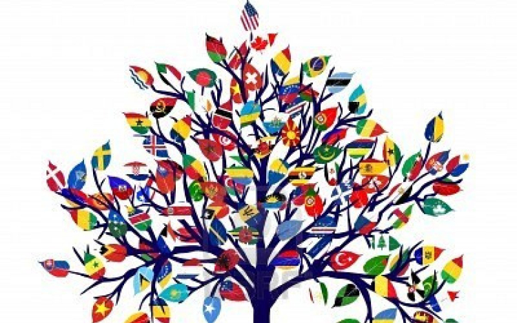 Nemzetközi klub a Dunaújvárosi Egyetemen