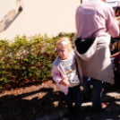 Rácalmás - tökön tök