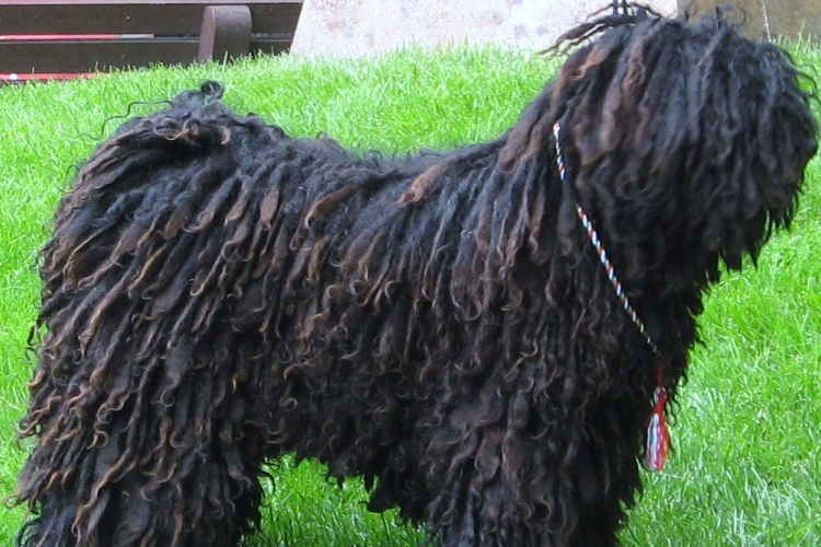 Ebösszeírás: május 1-től már büntethetnek!