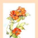 Képeket vegyenek az Arany iskoláért!