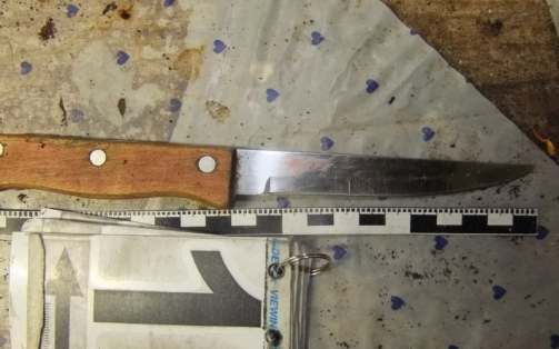 Hasba szúrta nevelt fiát