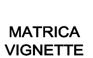 Matrica visszaváltás Dunaújvárosban is