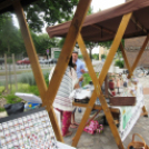 Megyenap városunkban