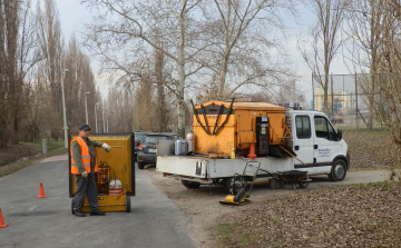 Paplan az aszfalton és nyertesek