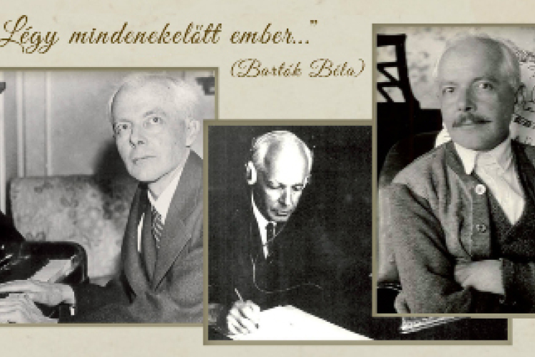 Bartók a könyvtárban
