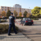 Csajok a kormány mögött