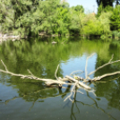 Hónap diákjai az állatkertben