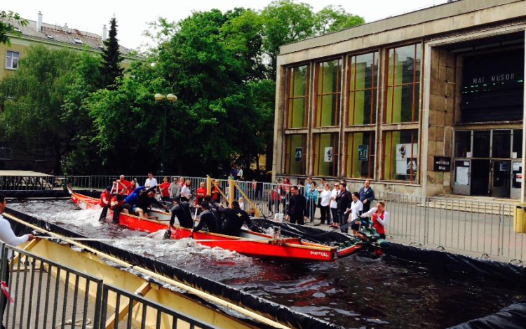 Sárkányok földön és vízen - képekkel