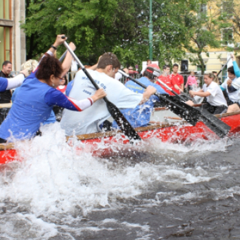 Sárkányok földön és vizen
