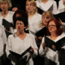 Dunaújvárosért díjazottak