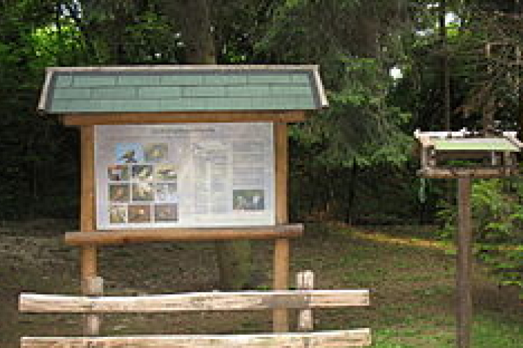 A város közkincse megérdemli a törődést