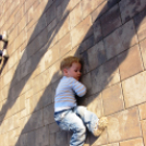 Tehetség nap - képekben