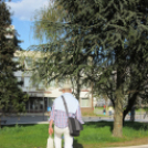 Tehetség nap - képekben