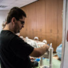 Környezettudatosság a főiskolán