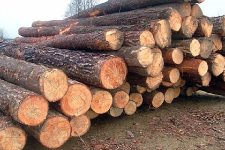 Jelentősen csökkent a tűzifa ára