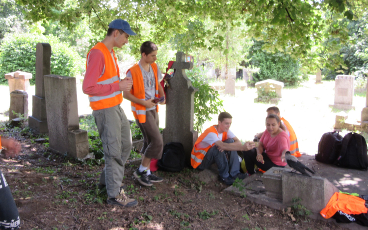 A dolmányos varjú és a lombseprű