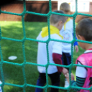 Ovifoci- pályaavató