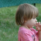 Játékos tudomány - Furfangos csudavilág