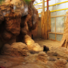 Hónap diákjai az állatkertben