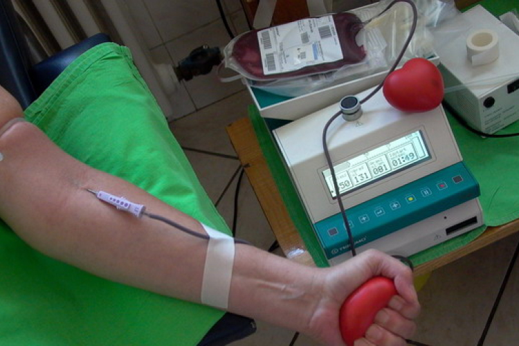 A fősulisok is vérüket adták ( DSTV videóval)