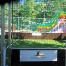 Ovifoci- pályaavató