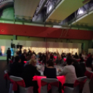 Kamara vállalkozói