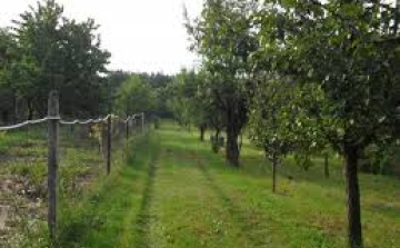 Zártkertesek figyelem! Könnyebb lesz az adásvétel, csere. Most kell lépni!