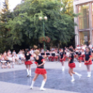 Fúvószenekarok és Mazsorettek XVII. Nemzetközi Találkozója