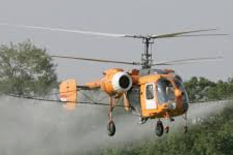 Jaj, a szúnyogoknak !