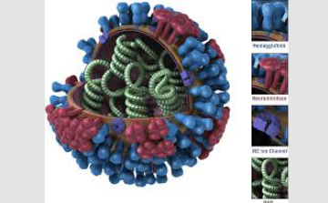 Befejezte működését az influenza figyelőszolgálat