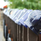 Képeket vegyenek az Arany iskoláért!