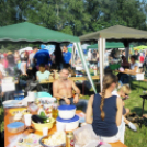 Parázs-varázs képekben