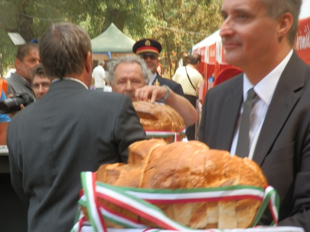 Az állam visszavásárolná a Dunaferrt