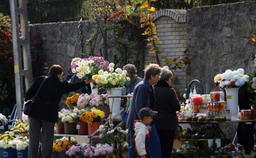 Változik  hétvégére a buszmenetrend