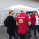 Csajok a kormány mögött