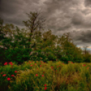 Képeket vegyenek az Arany iskoláért!