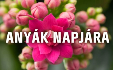 Anyák napjára szeretettel