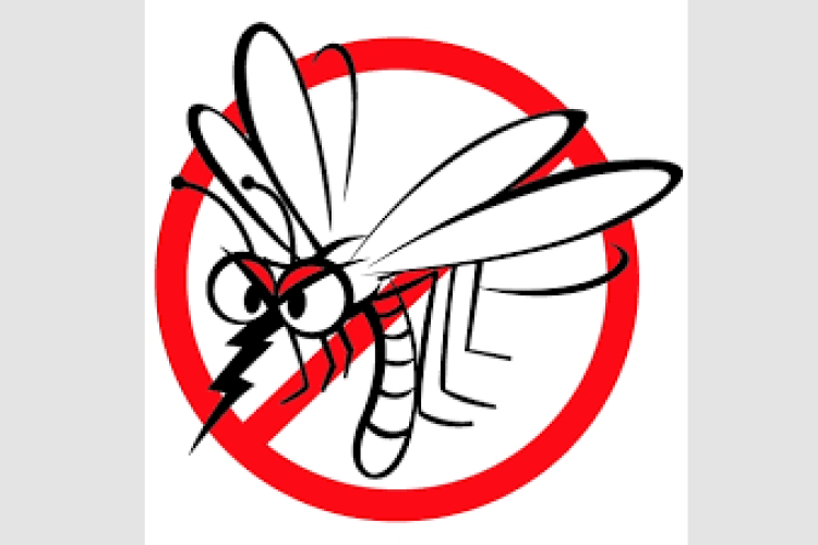 Csütörtökön kezdődik a központi szúnyoggyérítés