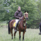 Sport- és egészségnap