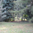 Rockmaraton -kezdetek