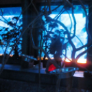 Hónap diákjai az állatkertben