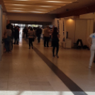 Karriernap az Egyetemen