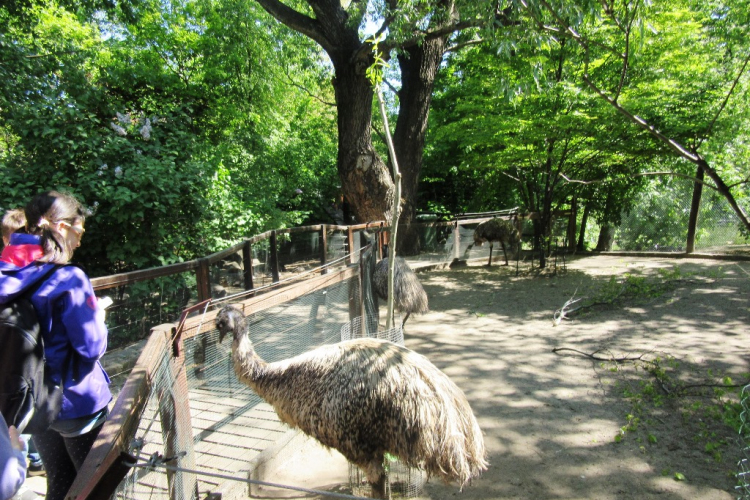 Hónap diákjai az állatkertben