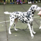 Segítség az iskolakezdéshez