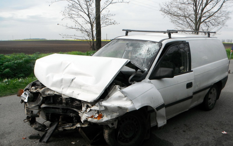 Kutyát is mentettek