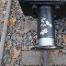 Muki és a vandálok - Gerencsér Tamás felvételei