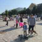 Pazar időben színes programok Szent Mihály napján