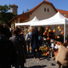 Rácalmás - tökön tök