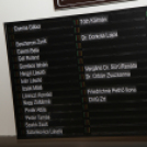 Alakuló közgyűlés