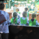 Ovifoci- pályaavató